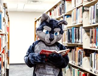 狼吉祥物在图书馆岛阅读